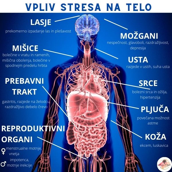 vpliv stresa na telo